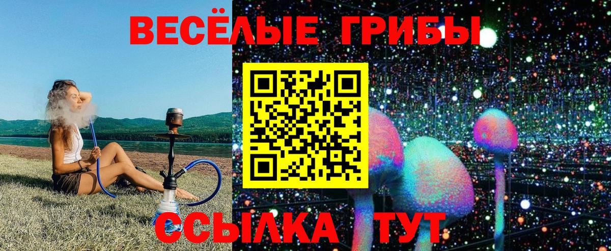 Галлюциногенные грибы ЛСД  купить закладку  Моршанск  Галлюциногенные грибы Magic Shrooms  Вход с VPN 